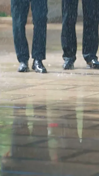 ดอกรักหลงทาง พบจันทร์ส่องใจ