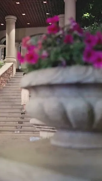 ดอกรักหลงทาง พบจันทร์ส่องใจ