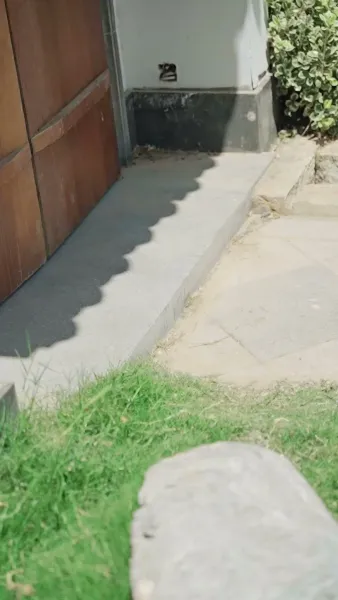 ดอกรักหลงทาง พบจันทร์ส่องใจ