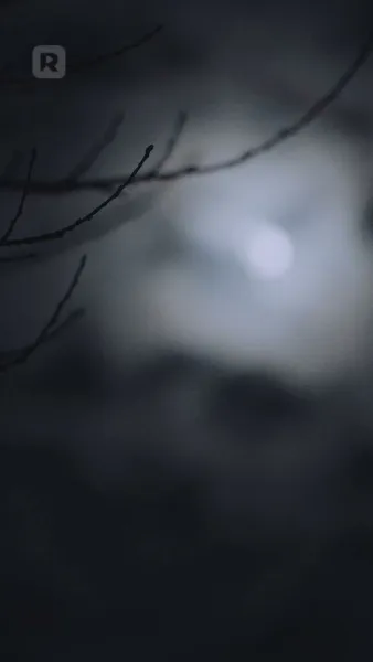 ชะตาผูกพันกับหมาป่าผู้เป็นศัตรู