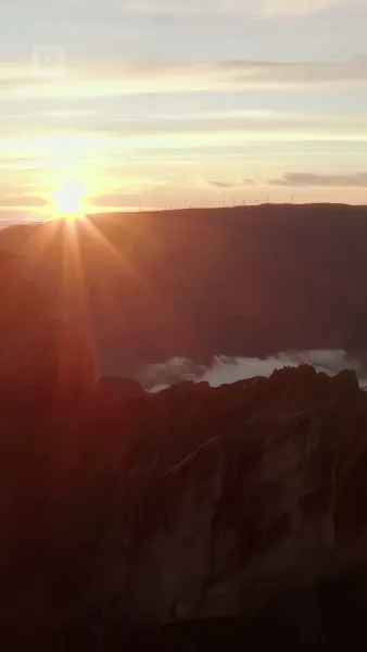 ชะตาผูกพันกับหมาป่าผู้เป็นศัตรู