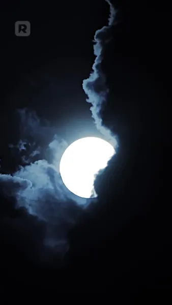 ชะตาผูกพันกับหมาป่าผู้เป็นศัตรู