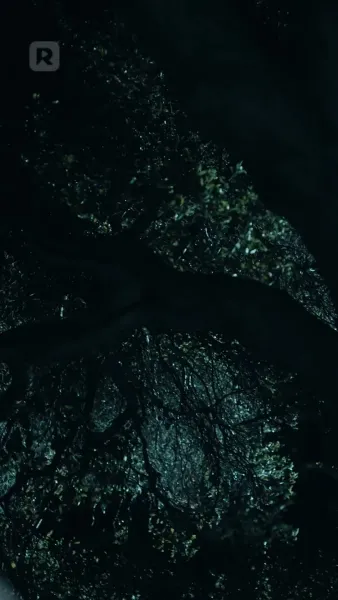 ชะตาผูกพันกับหมาป่าผู้เป็นศัตรู