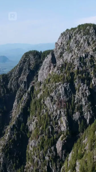 ชะตาผูกพันกับหมาป่าผู้เป็นศัตรู