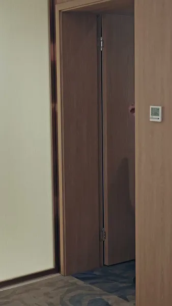 แฟนปลอมของผมคือประธาน