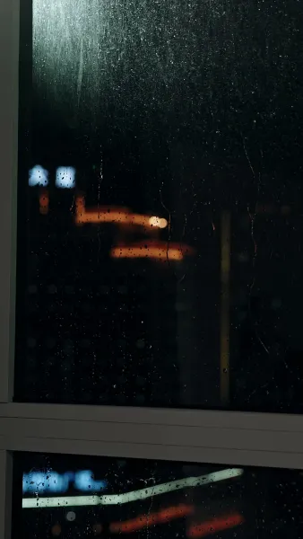 แฟนปลอมของผมคือประธาน