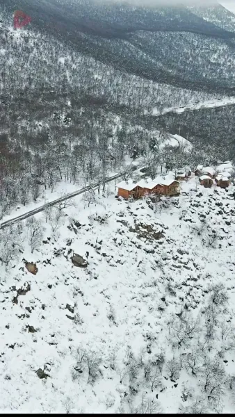 ผีเสื้อเหล็ก