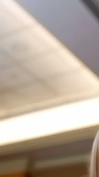 ผีเสื้อเหล็ก