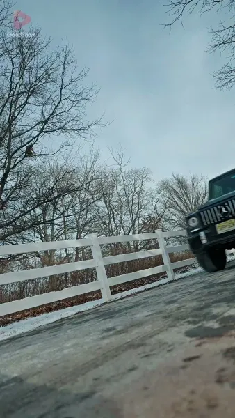 ผีเสื้อเหล็ก