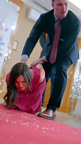 ผีเสื้อเหล็ก