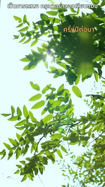 สลับตัวกันแต่งงาน