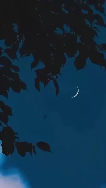 จูบในสายลม