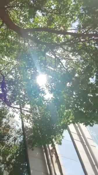 จูบในสายลม