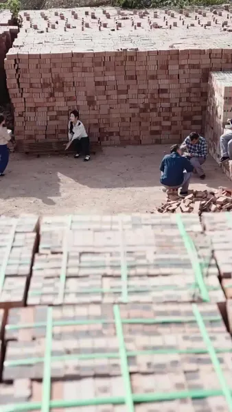 ลู่เอี้ยนกลับมา