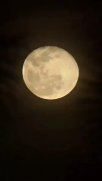 ชายาผู้พิพากษามิอาจเอาเรื่อง