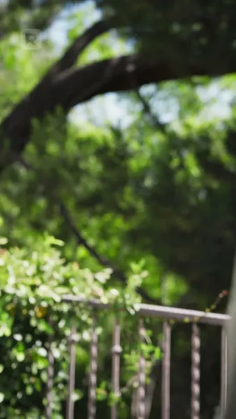 ตั้งครรภ์และแต่งงานกับดาราภาพยนตร์