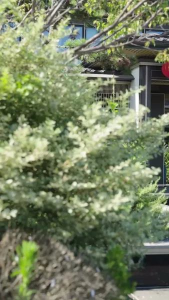 ศึกชิงเจ้าบ่าวใน7วัน