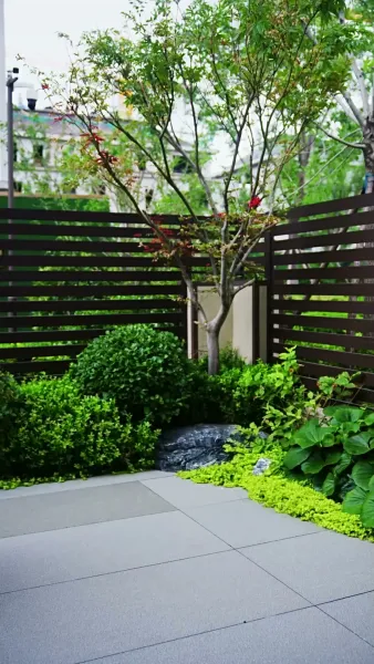 ชะตากรรมรักซ่อนเงา