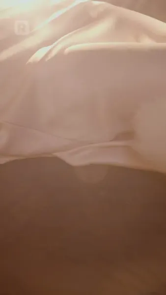 แฟนของฉันเป็นเทพจิ้งจอกเก้าหาง