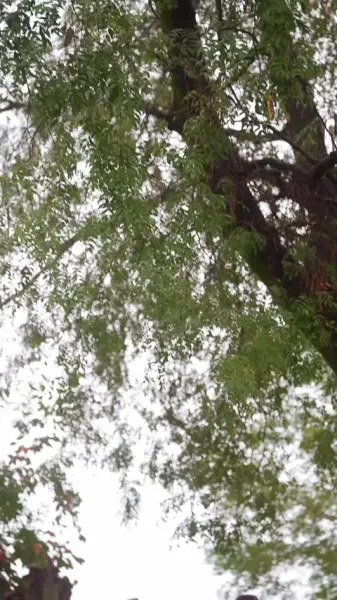 เกิดใหม่ปีอดอยาก