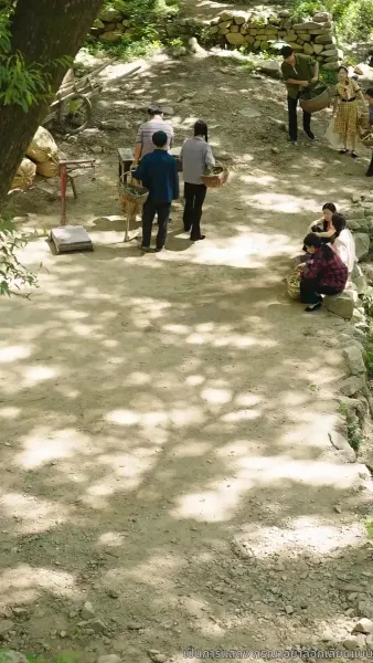 เด็กน้อยมหัศจรรย์