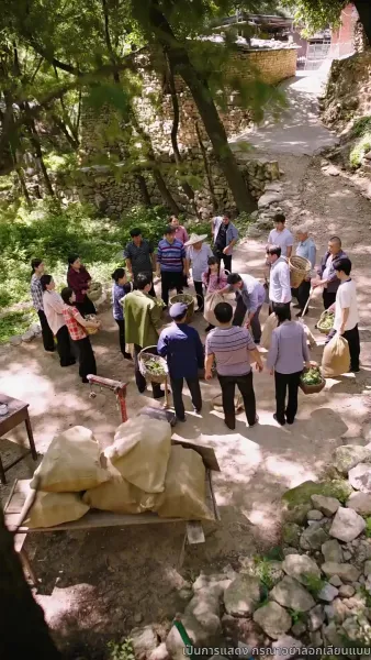 เด็กน้อยมหัศจรรย์