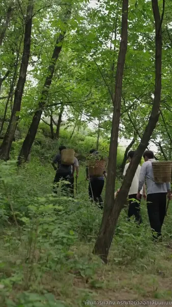 เด็กน้อยมหัศจรรย์