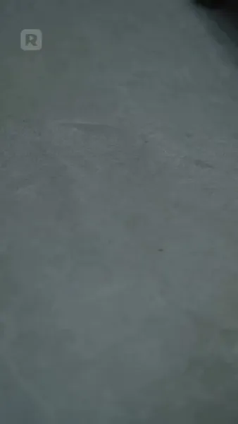 แต่งฟ้าผ่ากับคู่หมั้นตัวจริง