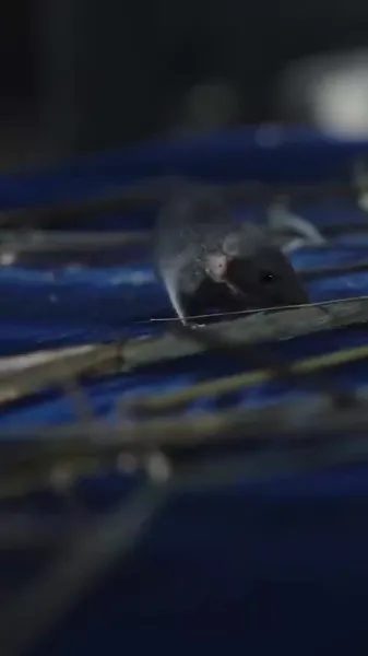 ไม่เป็นไร เราเป็นครอบครัวกัน