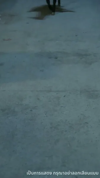 หนึ่งเดียวในใต้หล้า