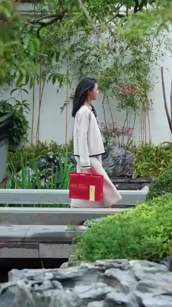 เมื่อดวงดาวตกลงมาในความฝันของฉัน