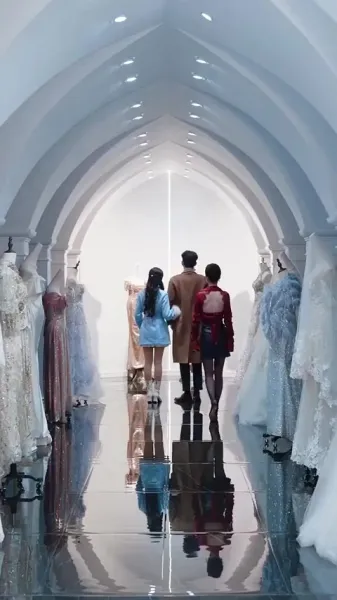 เมื่อดวงดาวตกลงมาในความฝันของฉัน