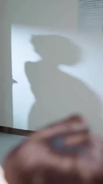 เมื่อดวงดาวตกลงมาในความฝันของฉัน