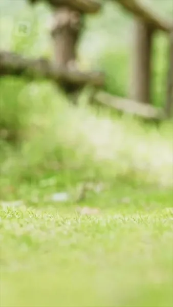 รักเย็นชาหลังความเงียบ