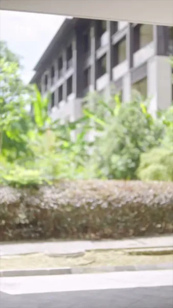 รักเย็นชาหลังความเงียบ