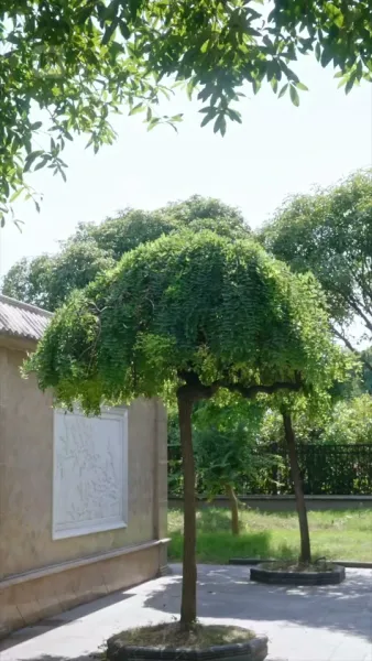 รักเย็นชาหลังความเงียบ