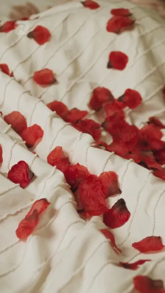 มหาเศรษฐีหนีวิวาห์มาเป็นเจ้าบ่าวของฉัน