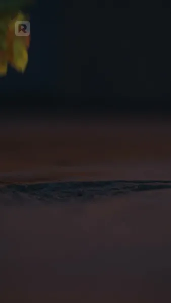 เธอคนนั้นที่ฉันไม่อาจลืม