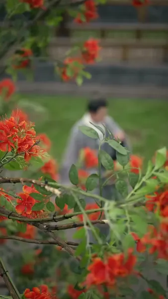 ขาดกันชั่วนิรันดร์