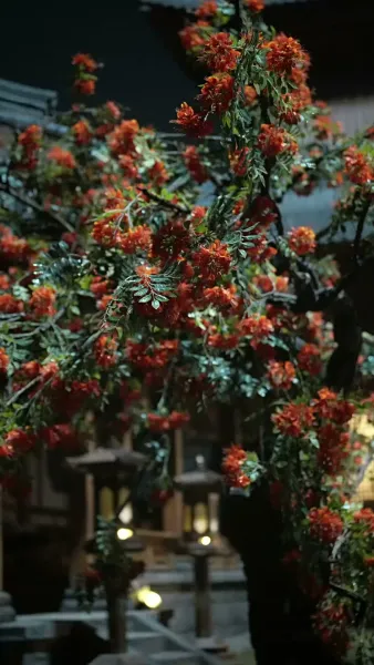 ขาดกันชั่วนิรันดร์