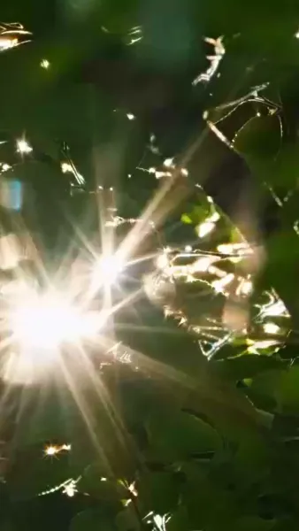 ชีวิตใหม่ฉันคือคนกำหนด