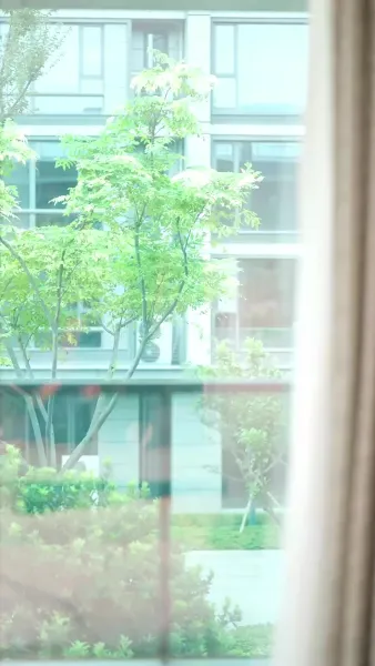 ชีวิตใหม่ฉันคือคนกำหนด