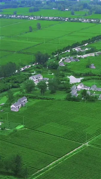 สัญญา ฤดูใบไม้ผลิ