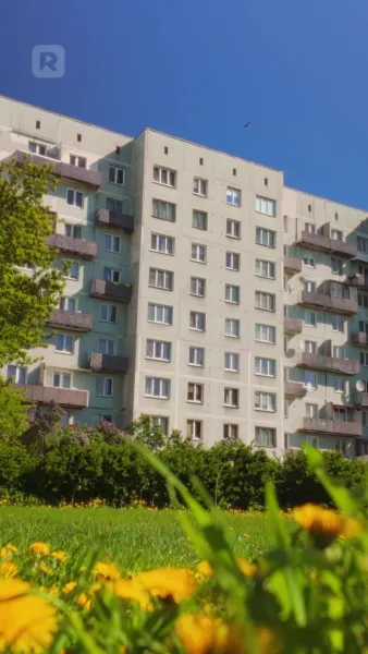 รักเย็นชาของนายมาเฟีย