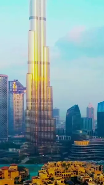 หลังหยา