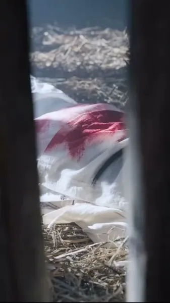 รอยแค้นในเงาจันทร์