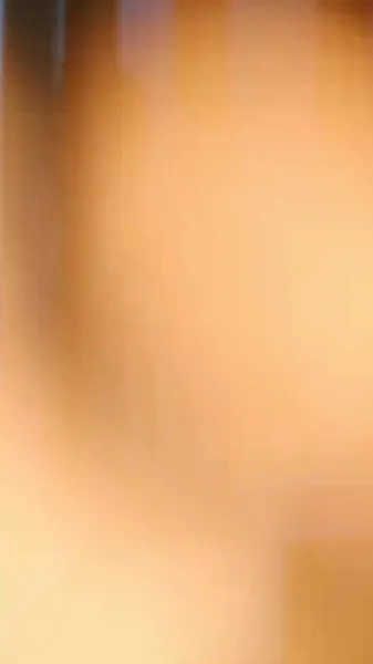 เงามายาในวังสลาย