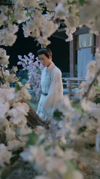 เงามายาในวังสลาย