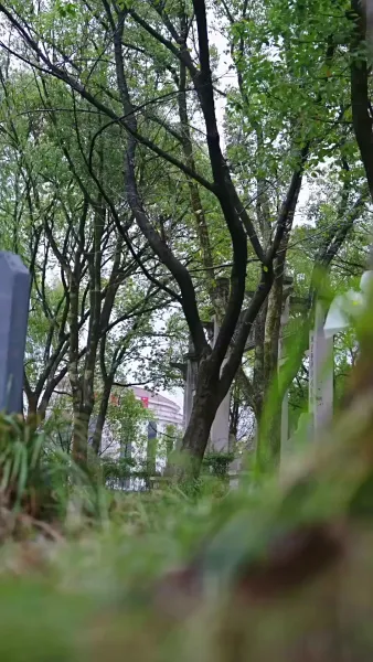 นายต่างหากที่เป็นตัวแทน