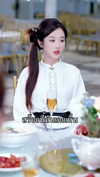 ข้ามเวลาเป็นนางร้าย  อยากหย่าทุกวัน